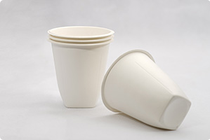 The Eco-Friendly Solution for Your Business: Introducing Ecosource's Compostable Food Containers